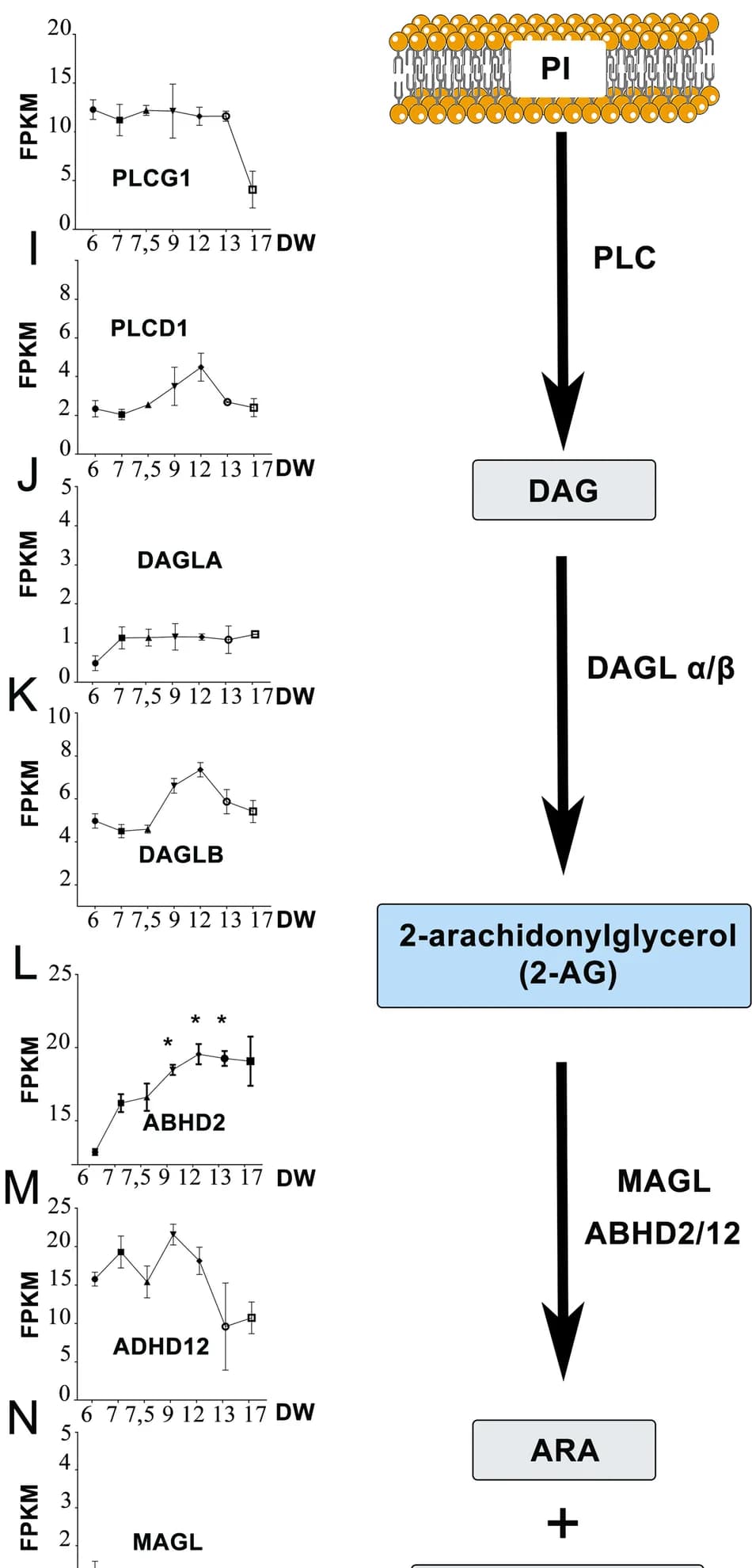Open access visualization of Line Plot, Error Bars, Workflow, ECS enzymes, Human fetal testis