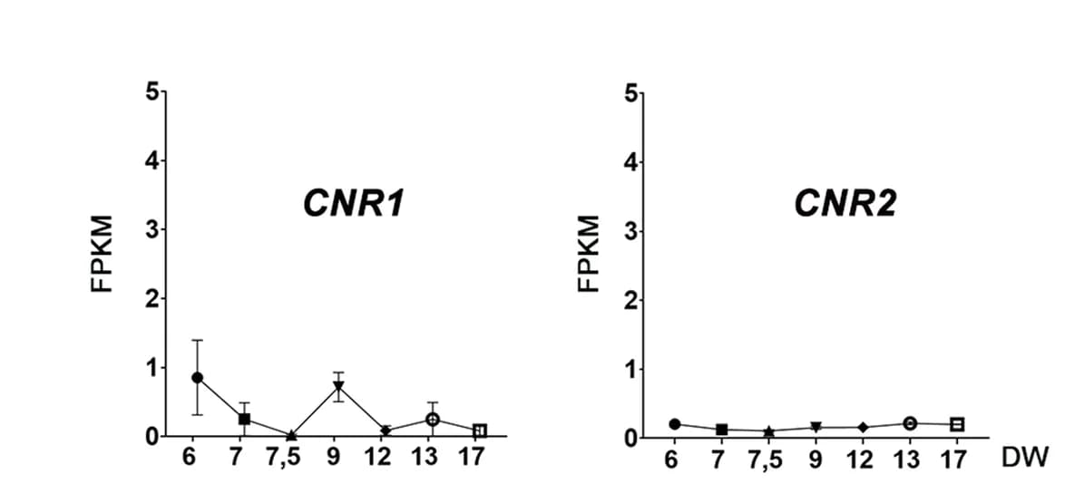 Open access visualization of Line Plot, Error Bars, RNA-Seq, CNR1, CNR2
