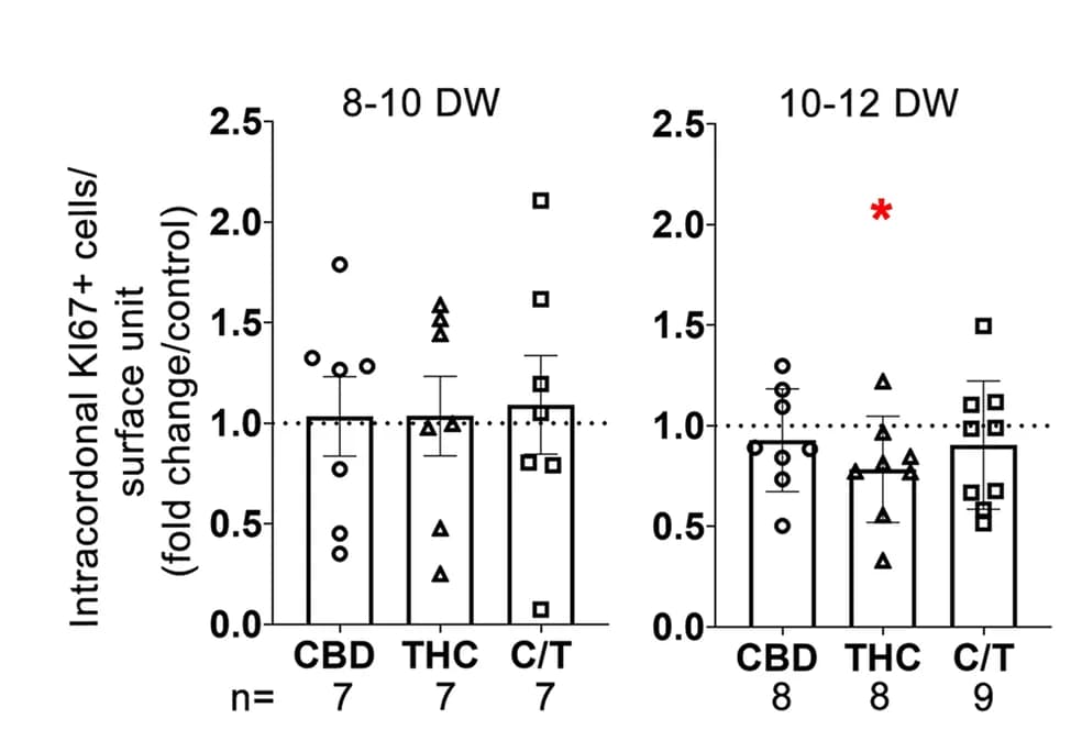 Open access visualization of Bar Plot, Error Bars, Scatter Plot, Proliferating Cells, Intracordonal Tissue