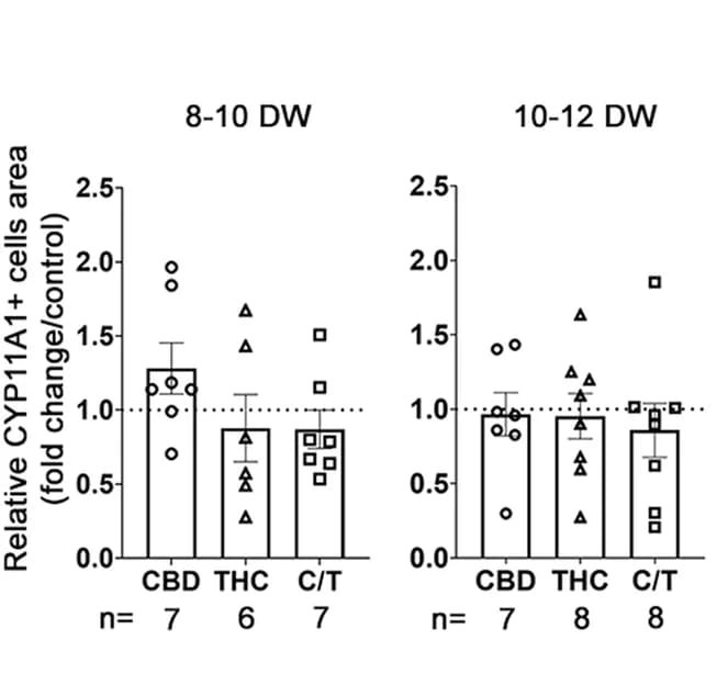 Open access visualization of Bar Plot, Error Bars, Quantification, CYP11A1, Leydig Cells