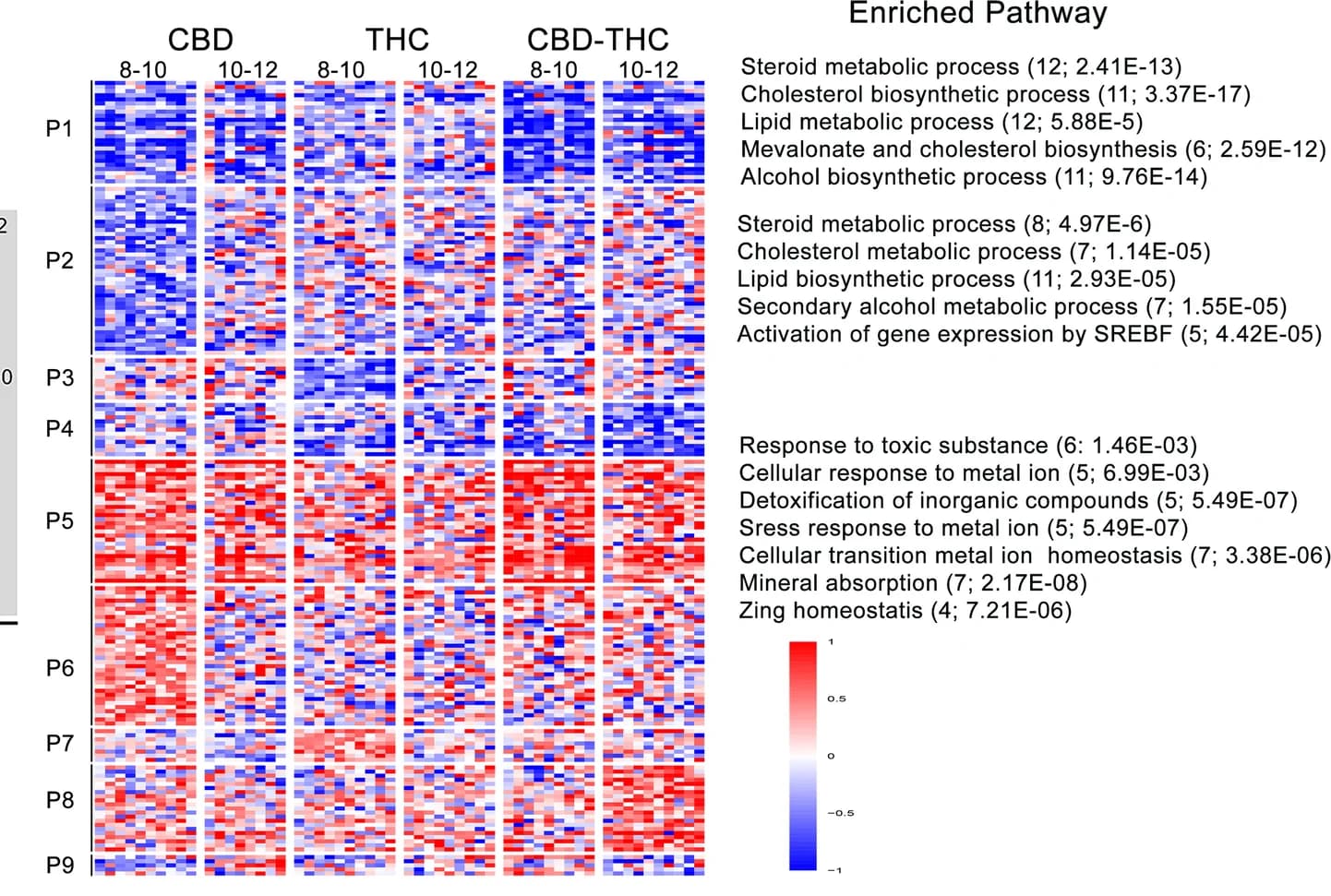 Open access visualization of Heatmap, Clustered, Transcriptional Changes, Embryonic Testis, CBD