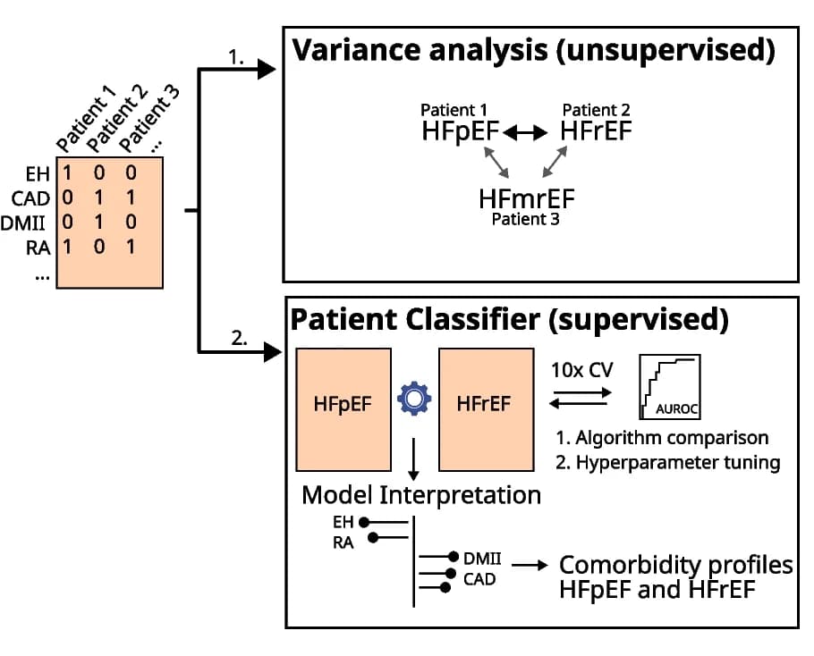 Open access visualization of Workflow, Flowchart, Essential Hypertension, Coronary Artery Disease, Diabetes Mellitus Type II