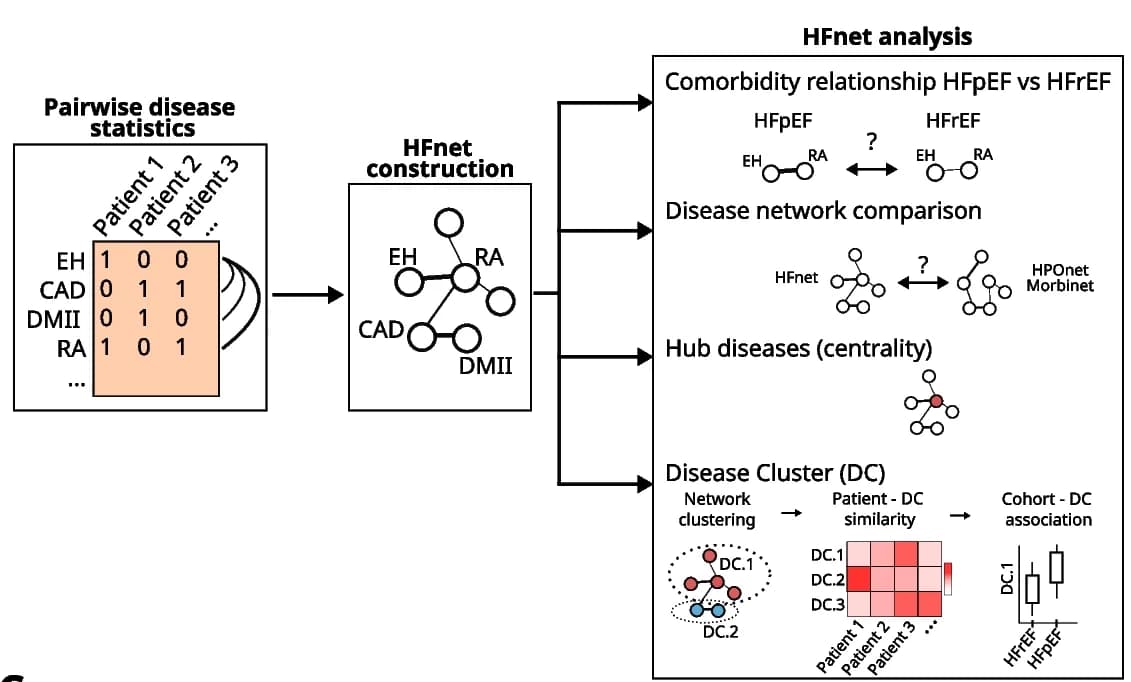 Open access visualization of Workflow, Network, Heatmap, Box Plot, Comorbidity Network Analysis