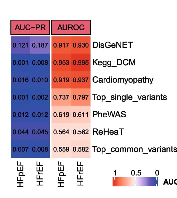 Open access visualization of Heatmap, AUROC, AUC-PR, HFpEF, HFrEF