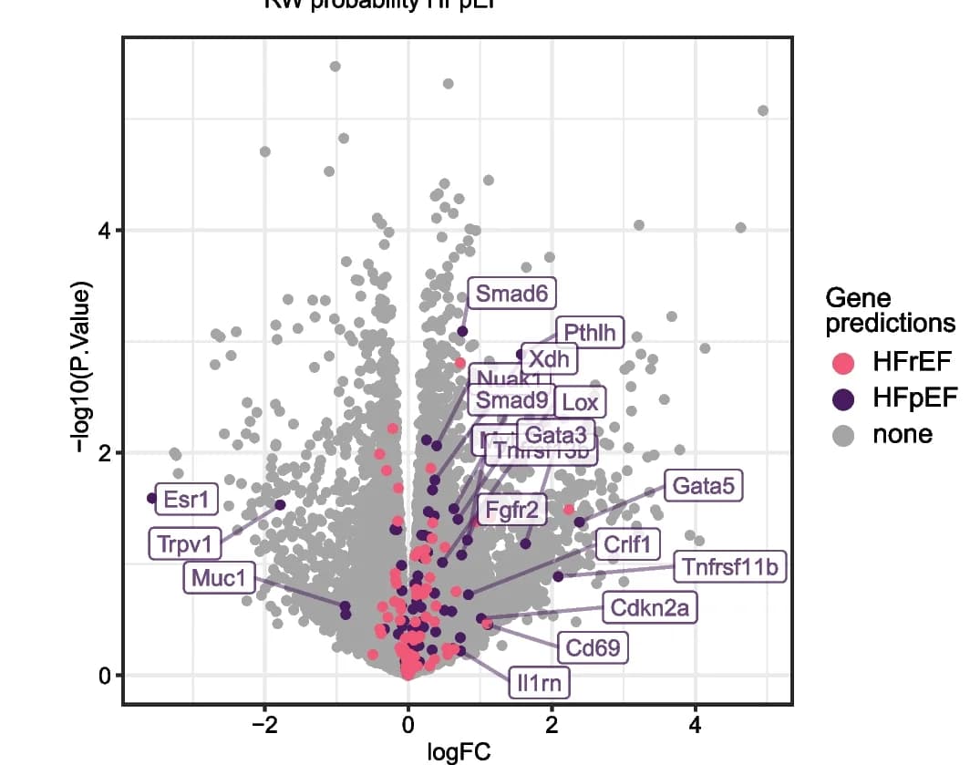 Open access visualization of Volcano Plot, Gene expression, Murine model, HFpEF, Human comorbidity profiles