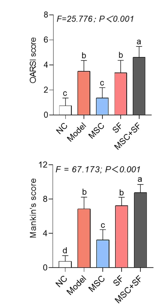 Open access visualization of Bar Plot, Error Bars, OARSI Scoring, Mankin’s Scoring, Histopathology