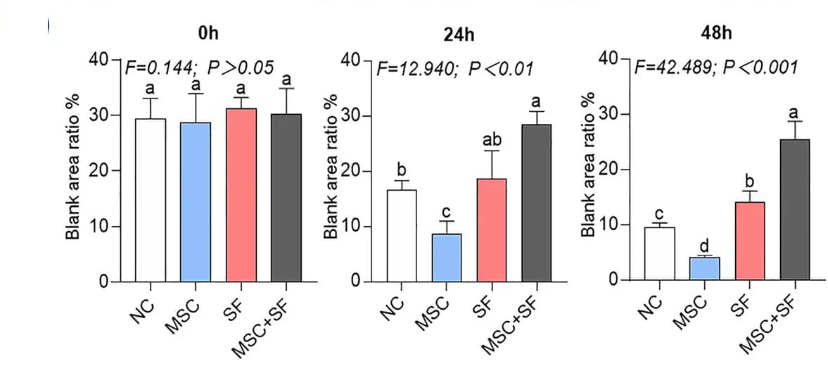 Open access visualization of Bar Plot, Error Bars, Clustered, Wound Area Ratio, Quantification