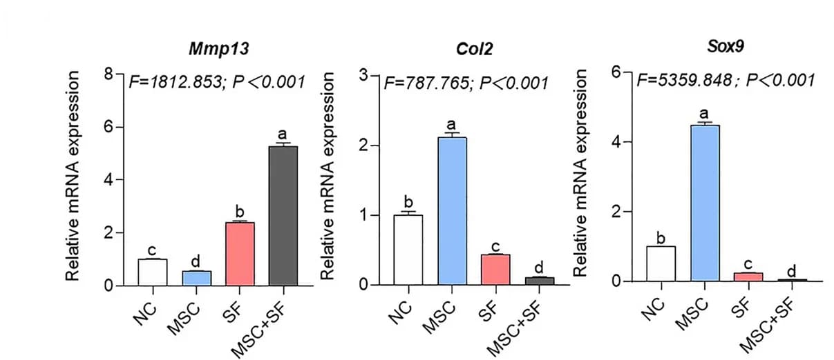 Open access visualization of Bar Plot, Error Bars, Gene Expression, Anabolic Genes, Catabolic Genes