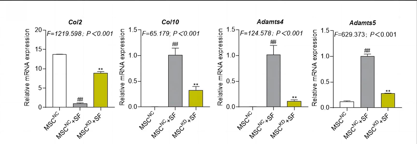 Open access visualization of Bar Plot, Error Bars, mRNA expression levels, Col2, Col10