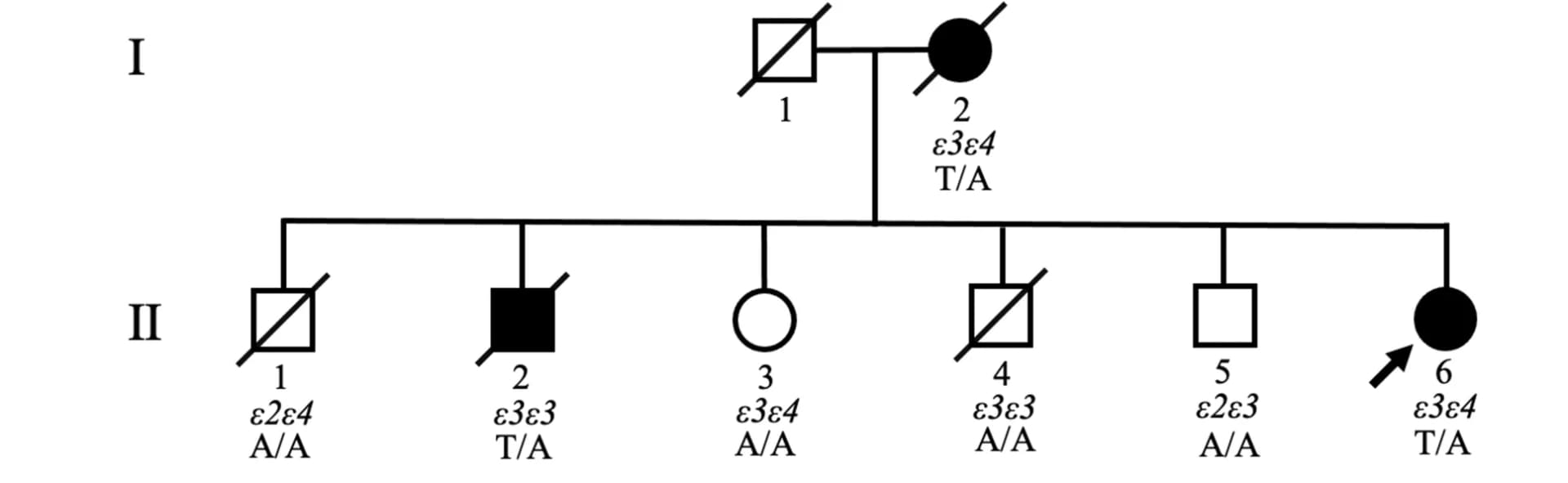 Open access visualization of Illustration, Flowchart, Family Pedigree, ZDHHC21 Mutation, Patient