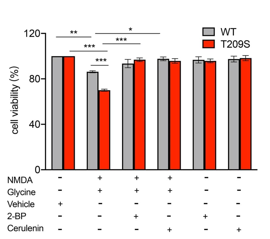 Open access visualization of Bar Plot, Error Bars, Clustered, Cellular Viability, WT Neurons