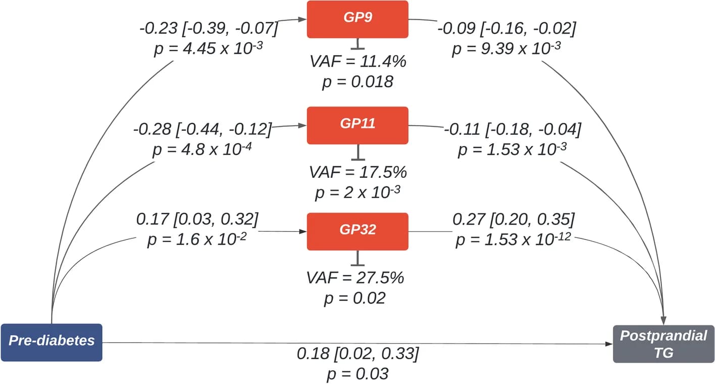 Open access visualization of Pathway, Sankey, Mediation Analysis, Prediabetes, Postprandial Triglyceride