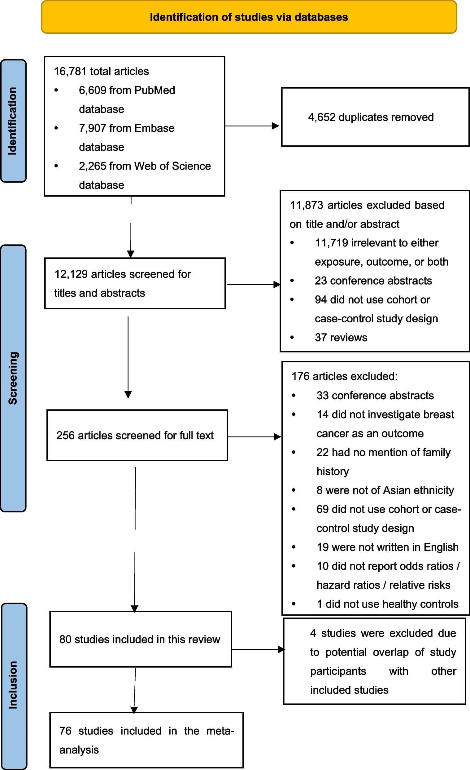 Open access visualization of Workflow, Flowchart, Literature Search, Screening Process, Flow Diagram