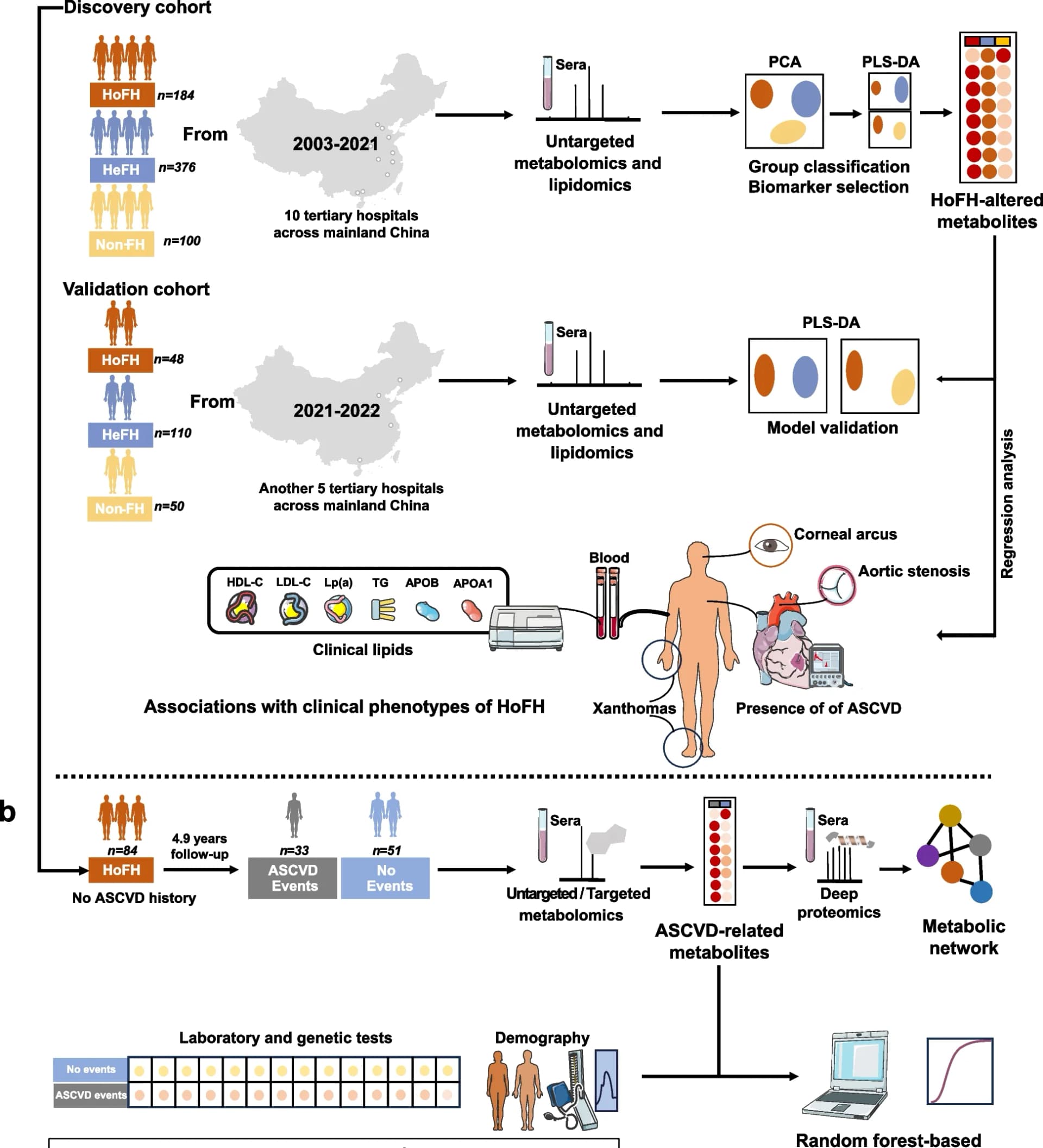 Open access visualization of Workflow, PCA, Network, Cross-sectional Study, Metabolomic Analysis