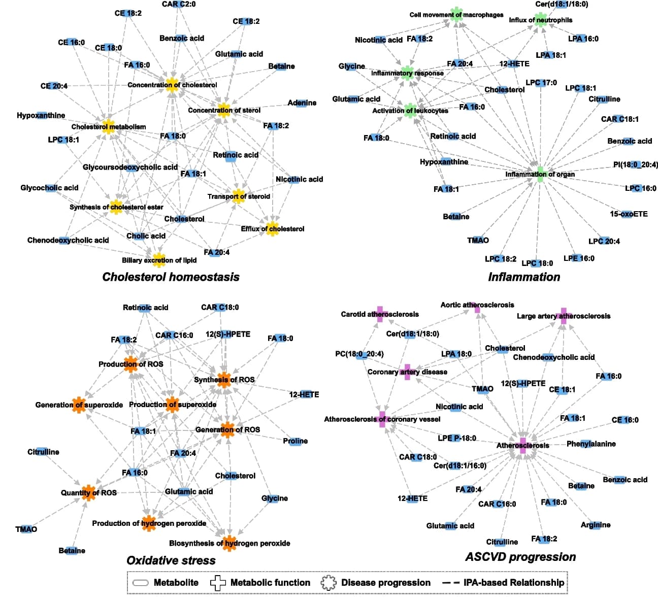 Open access visualization of Network, Pathway, IPA, Functional network, HoFH