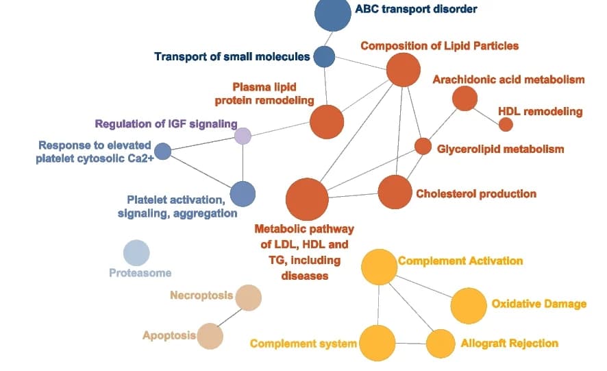 Open access visualization of Pathway, Network, Differentiated Proteins, ASCVD Events, Enriched Pathways