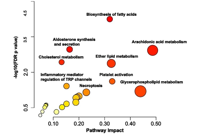 Open access visualization of Bubble Plot, Pathway Enrichment, Differentially Expressed Proteins, Metabolites, Topology Analysis