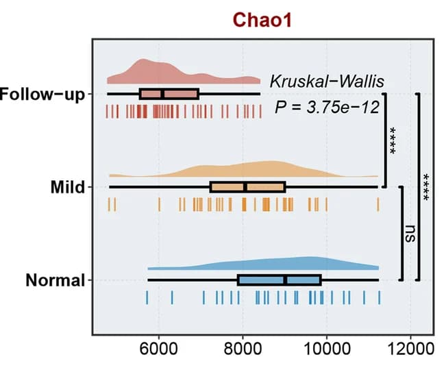 Open access visualization of Violin Plot, Box Plot, Raincloud Plot, Chao1 Index, Gut Microbiome