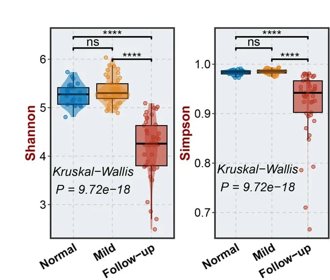 Open access visualization of Violin Plot, Box Plot, Scatter Plot, Shannon Index, Gut Microbiome