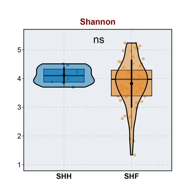 Open access visualization of Violin Plot, Box Plot, Scatter Plot, Phylum, NMDS