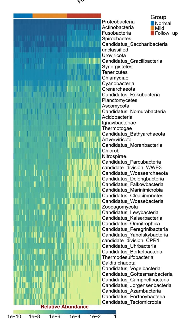 Open access visualization of Heatmap, Microbial Phyla, Fecal Samples, Follow-Up Patients, Normal Samples