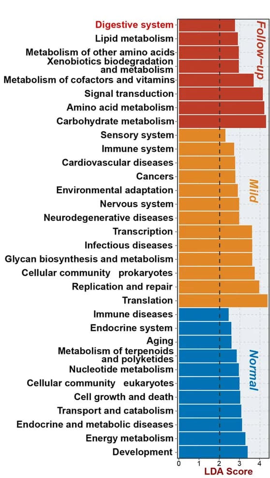 Open access visualization of Bar Plot, Kyoto Encyclopedia of Genes and Genomes, KEGG, Follow-Up Groups, Mild Groups