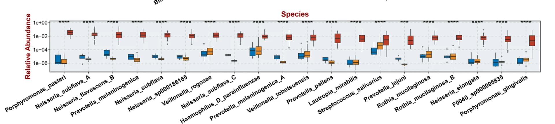 Open access visualization of Box Plot, Microbial species, Relative abundance, Saliva samples, Follow-up patients