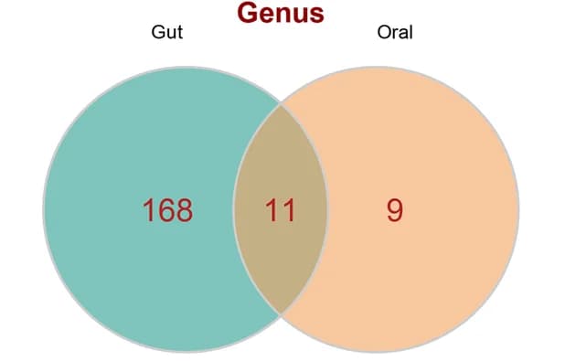 Open access visualization of Venn Diagram, Gut Microbiomes, Mouth Microbiomes, Genus