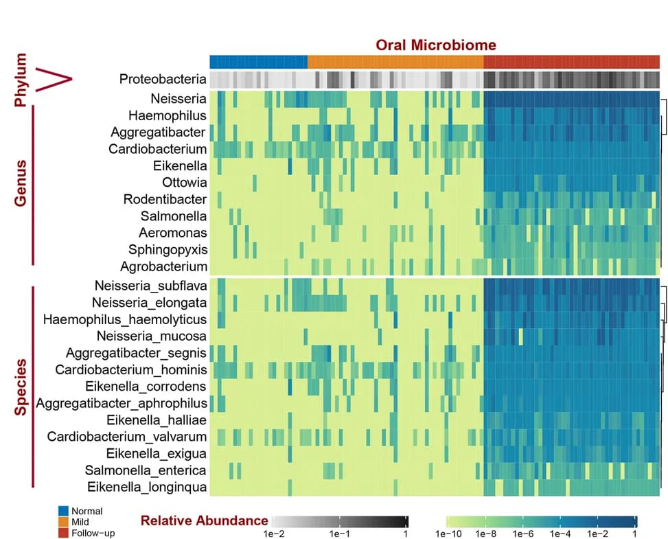 Open access visualization of Heatmap, Clustered, Intersecting Microbiomes, Oral Samples, Abundance