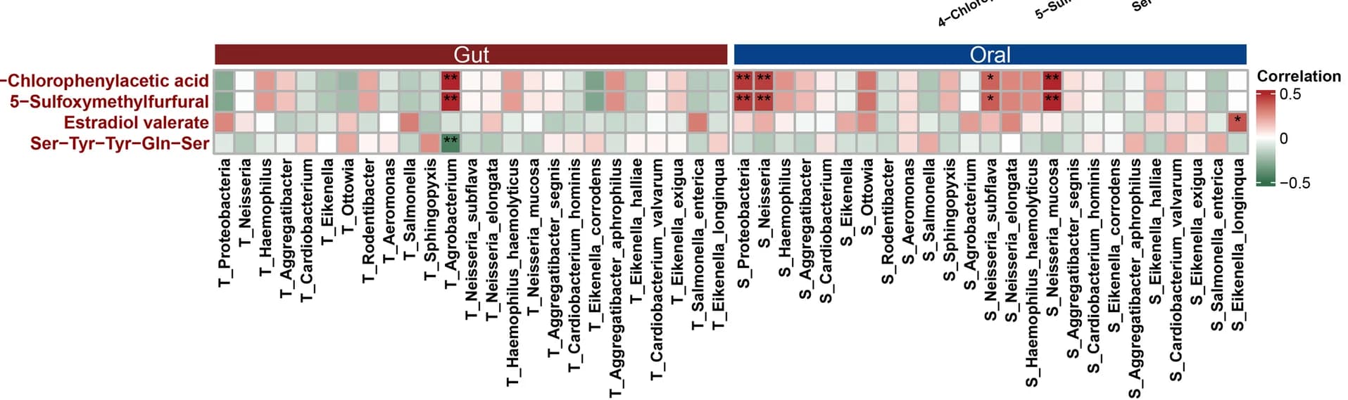 Open access visualization of Heatmap, Association Analysis, Class II Metabolites, Serum, Digestive Tract Microbiomes