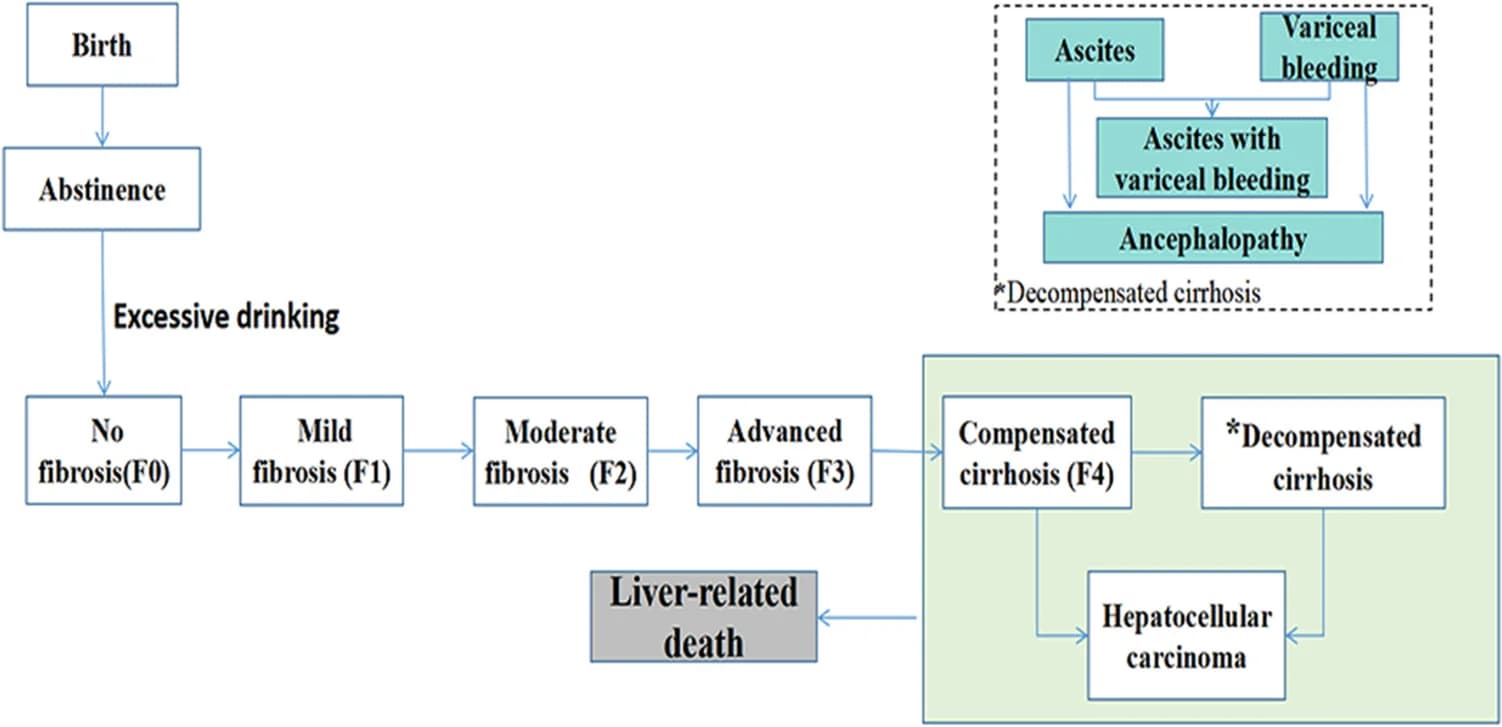 Open access visualization of Workflow, Flowchart, Alcohol-related liver disease, Disease progression, Health states