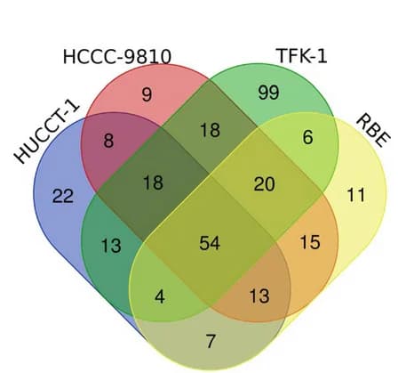 Open access visualization of Venn Diagram, UpSet, Co-upregulated Proteins, Supernatant, CCA Cell Lines