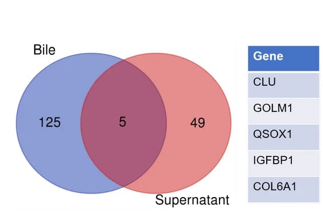 Open access visualization of Venn Diagram, Table Image, Co-upregulated Proteins, Bile, Cell Supernatant