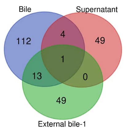 Open access visualization of Venn Diagram, CLU Protein, Upregulated, Proteomics Data, Bile
