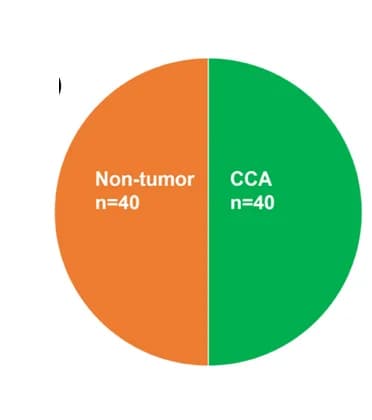 Open access visualization of Pie Chart, Patient Cohort, CA19-9, Pilot Study