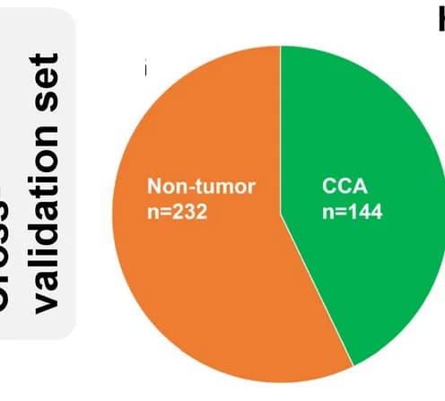 Open access visualization of Pie Chart, Patient Cohort, Cross-validation Set