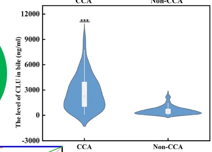Open access visualization of Violin Plot, Box Plot, ELISA, Bile CLU, CCA Patients