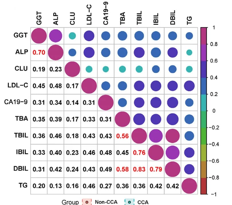 Open access visualization of Bubble Plot, Correlation Matrix, CLU, CA19-9, DBIL