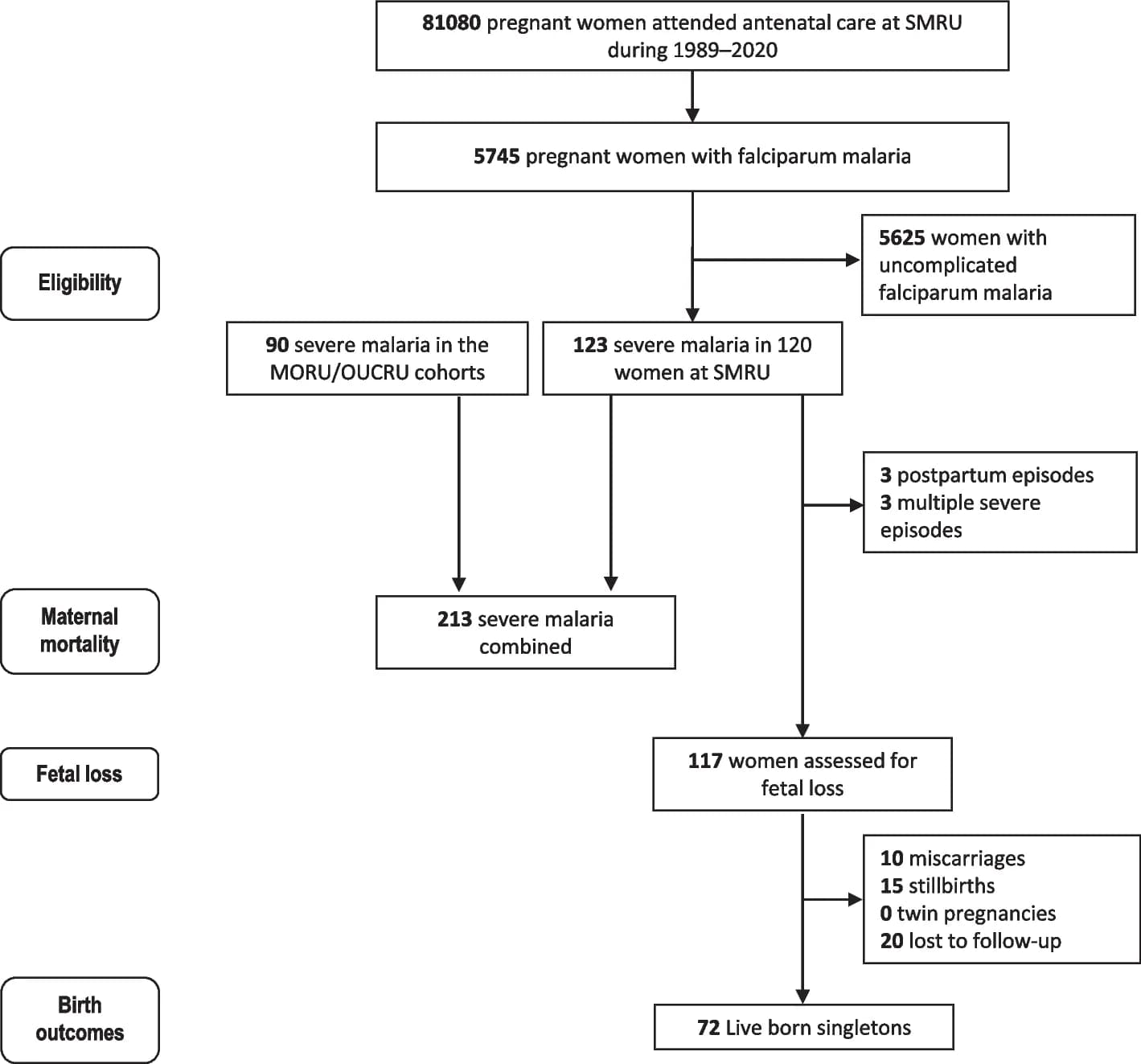 Open access visualization of Workflow, Flowchart, Pregnant Women, Severe Malaria, Mahidol-Oxford Tropical Medicine Research Unit