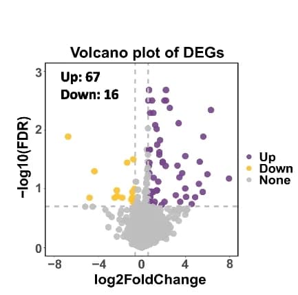 Open access visualization of Volcano Plot, Genes, Placenta, Infants