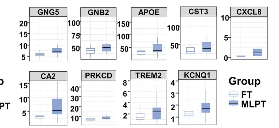 Open access visualization of Box Plot, Boxplot, FPKM, PBA-related genes, Male