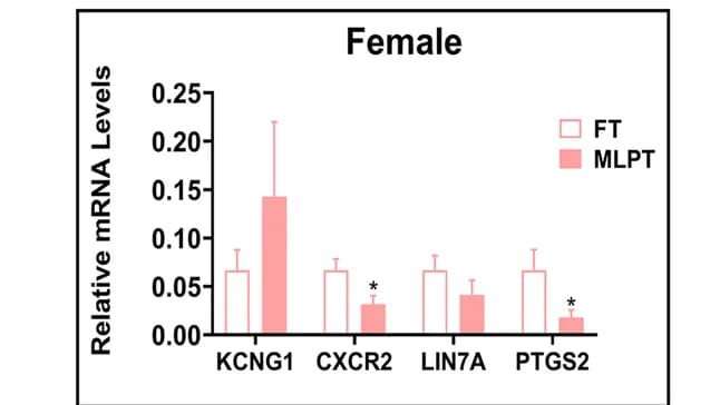 Open access visualization of Bar Plot, Error Bars, Clustered, Female Placenta Samples, CXCR2 mRNA