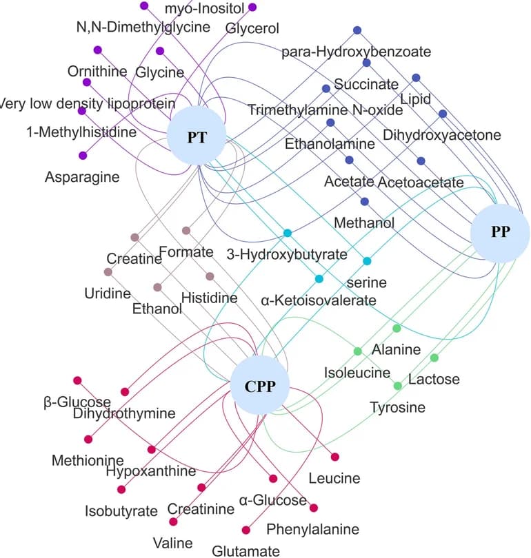 Open access visualization of Network, Pathway, Bipartite Graph, Potential Biomarkers, PP