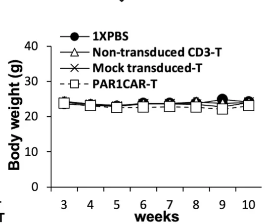 Open access visualization of Line Plot, Body weight, Treated mouse group, Growth curve