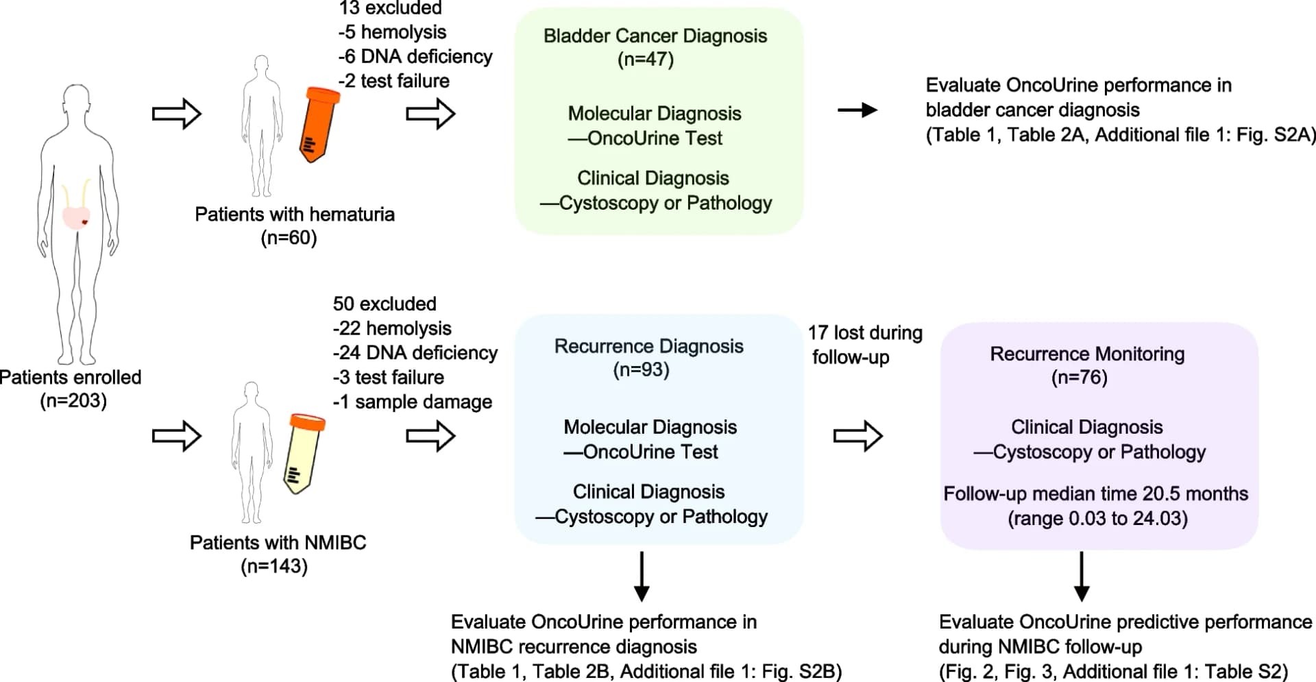 Open access visualization of Workflow, Flowchart, Illustration, Study Design, Data Analysis
