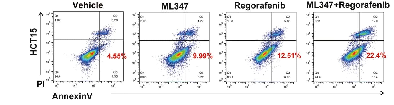 Open access visualization of Scatter Plot, Annexin V-PI staining, Regorafenib, Apoptosis, HCT15 Cells
