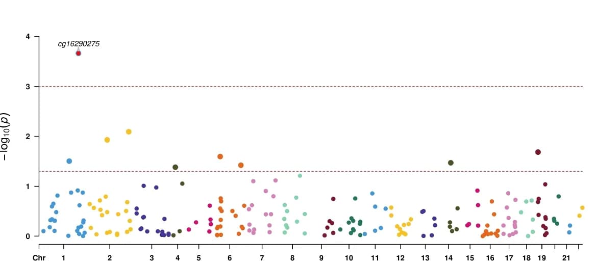 Open access visualization of Manhattan Plot, CpGs, GMD Score, mAge
