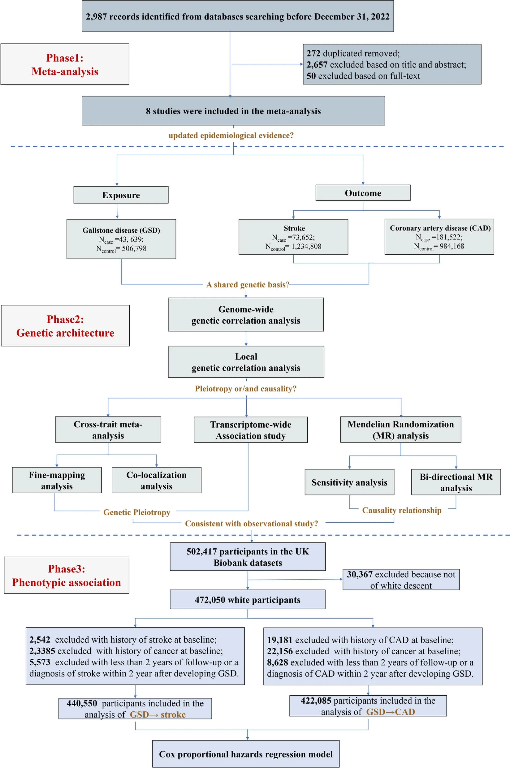 Open access visualization of Workflow, Flowchart, Study Design, Gallstone Disease, Cardiovascular Disease