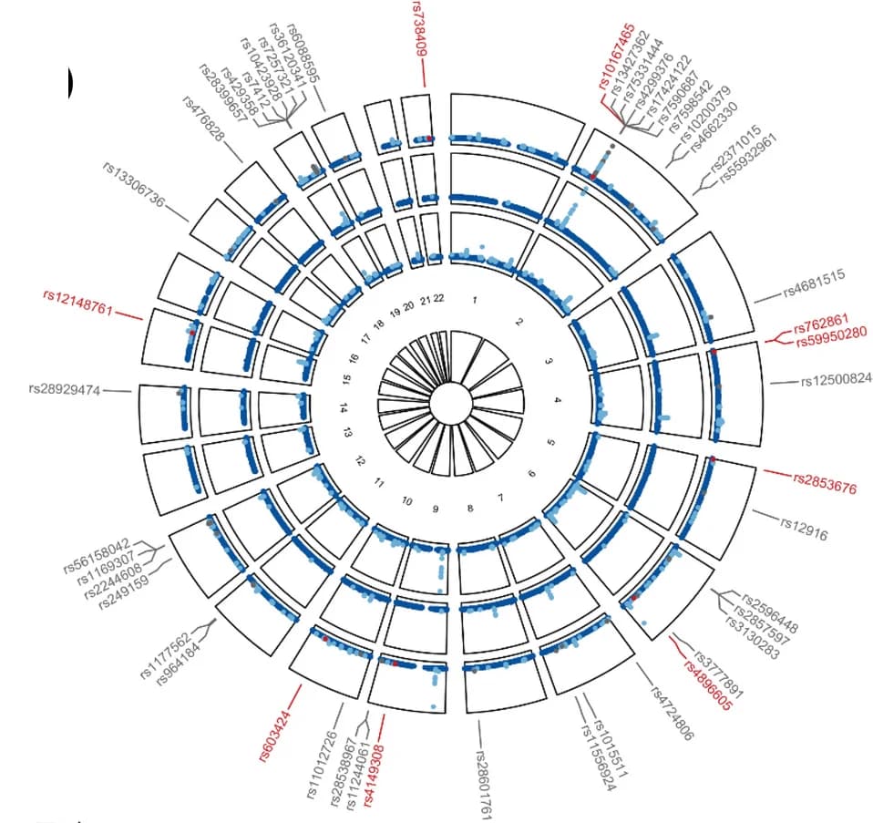 Open access visualization of Scatter Plot, Manhattan Plot, Gallstone Disease, Coronary Artery Disease, GWAS