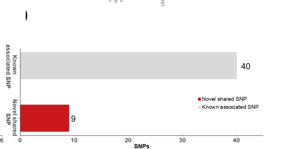 Open access visualization of Bar Plot, Gallstone Disease, Coronary Artery Disease, Meta-analysis, SNPs